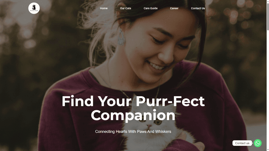 Domoz House pedigree kitten adoption and ethical cat breeder website homepage design